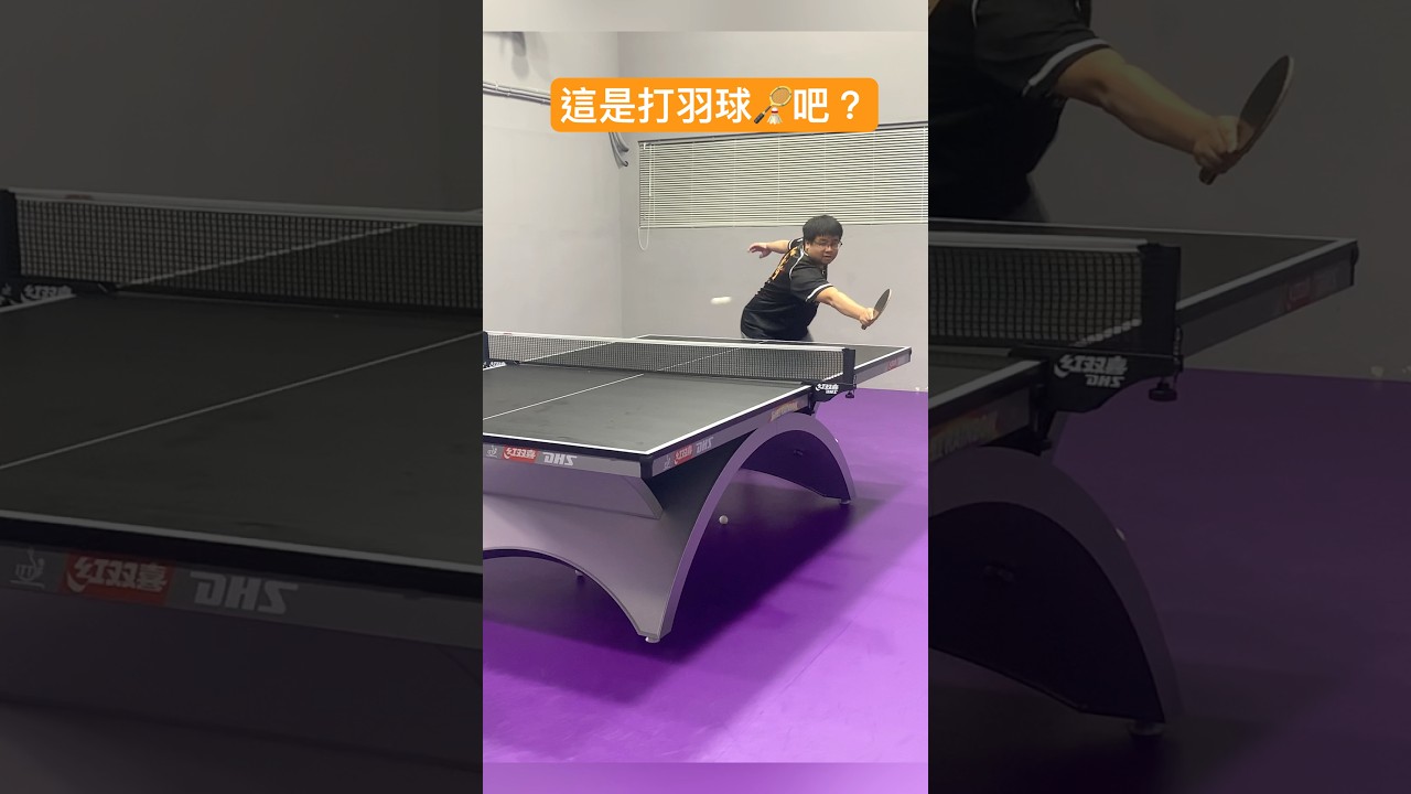 间的合同纠